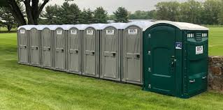 Best Portable Toilets for Disaster Relief Sites  in Denmark, SC