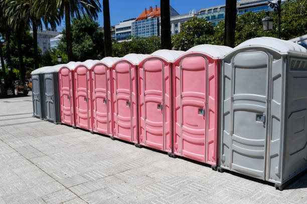 Best Long-Term Portable Toilet Rental  in Denmark, SC